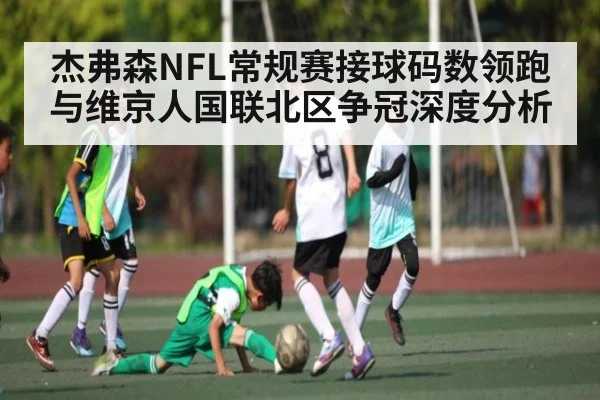 杰弗森NFL常规赛接球码数领跑与维京人国联北区争冠深度分析（kaiyun）